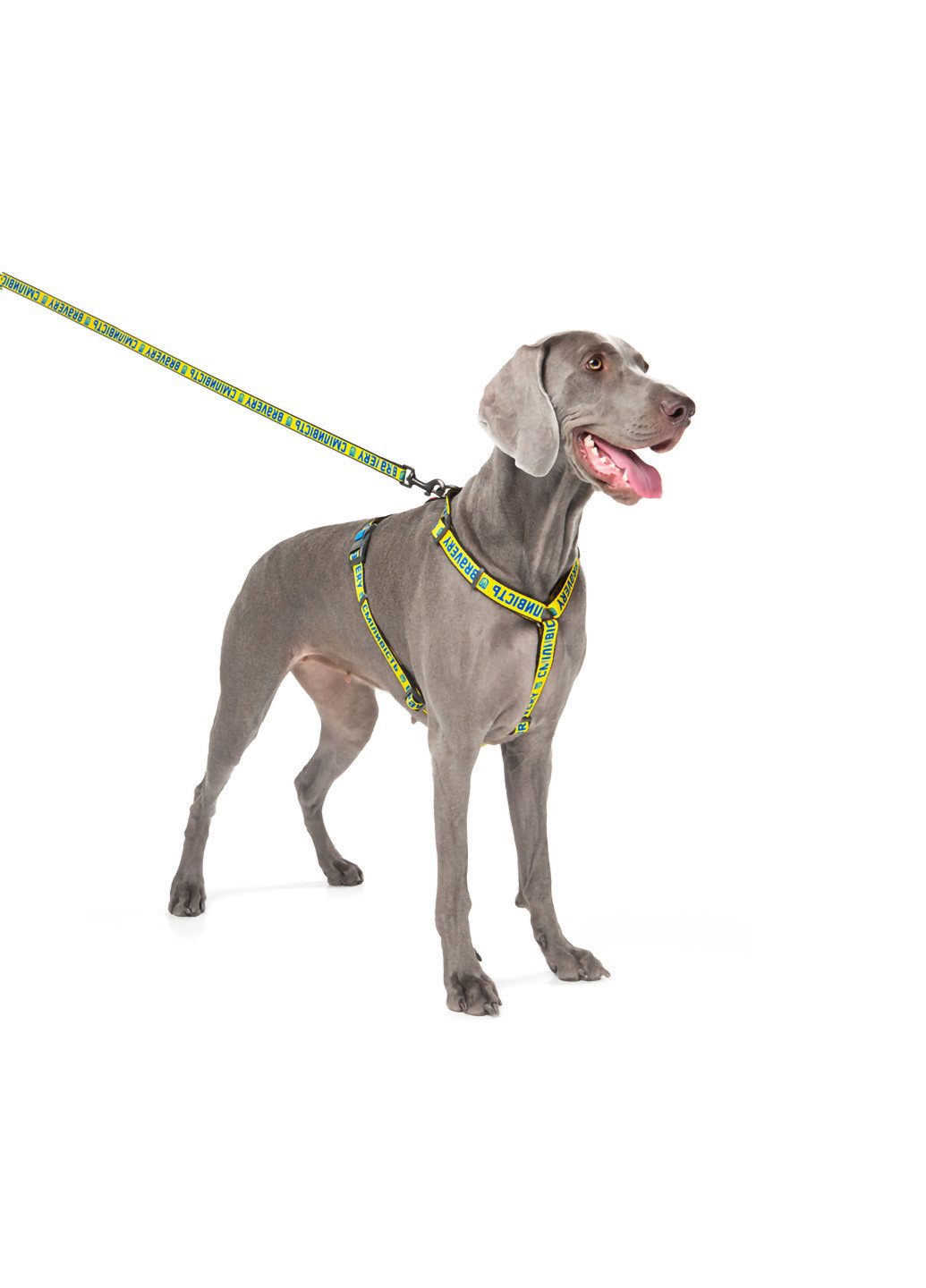 Повідець для собак нейлоновий малюнок "Сміливість" 122х2,5 см WAUDOG (257051125)