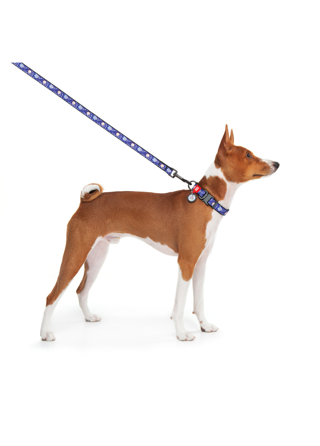 Повідець для собак нейлоновий малюнок "Рік і Морті 2" 122х2,5 см WAUDOG (257047347)