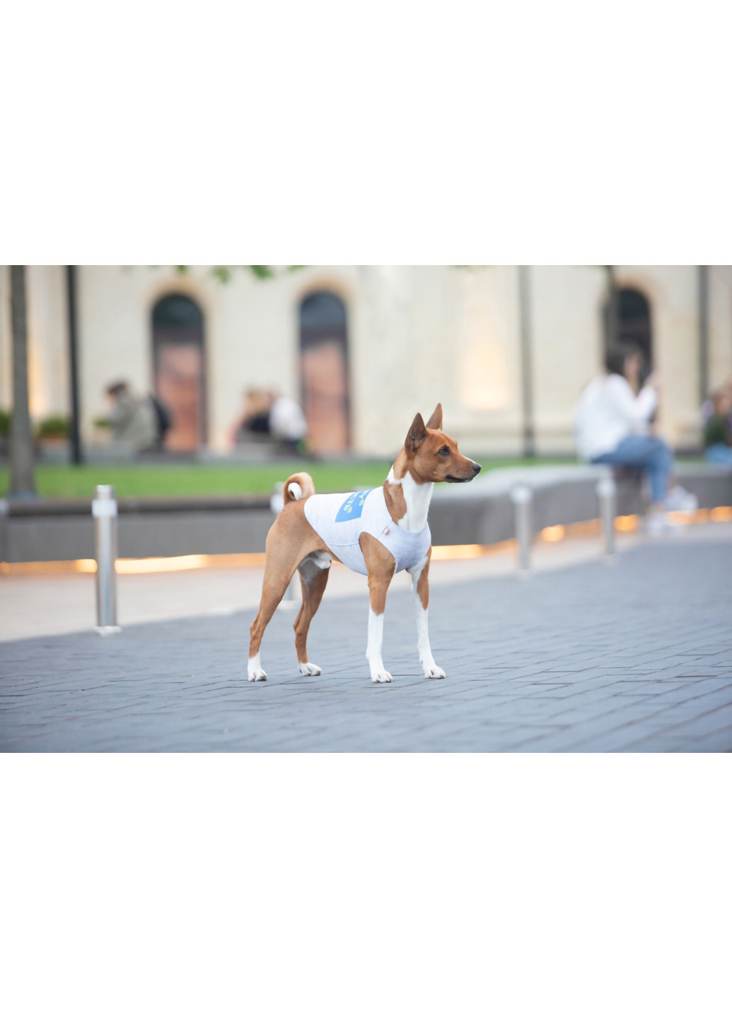 Майка для собак рисунок "Смелость" M47 WAUDOG (257049066)