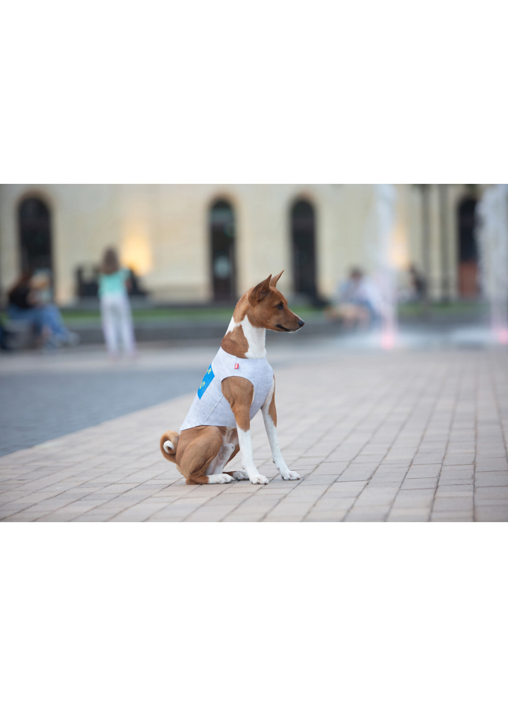 Майка для собак рисунок "Смелость" M47 WAUDOG (257049066)