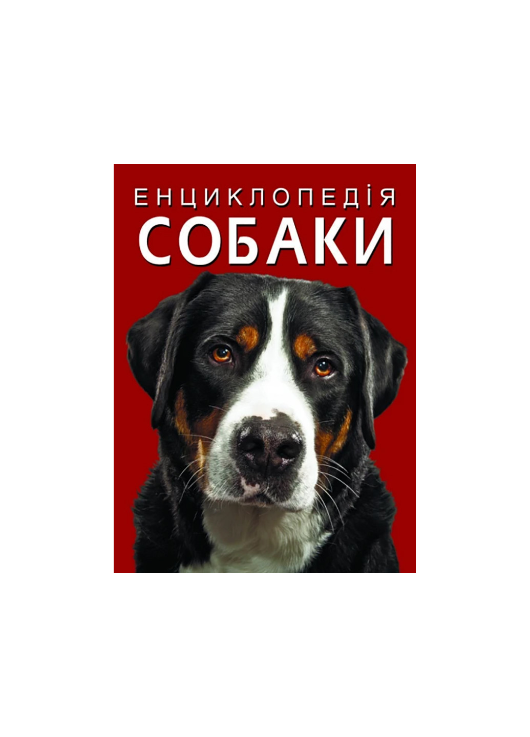 Книга Енциклопедія. Собаки 1067 Crystal Book (257038490)