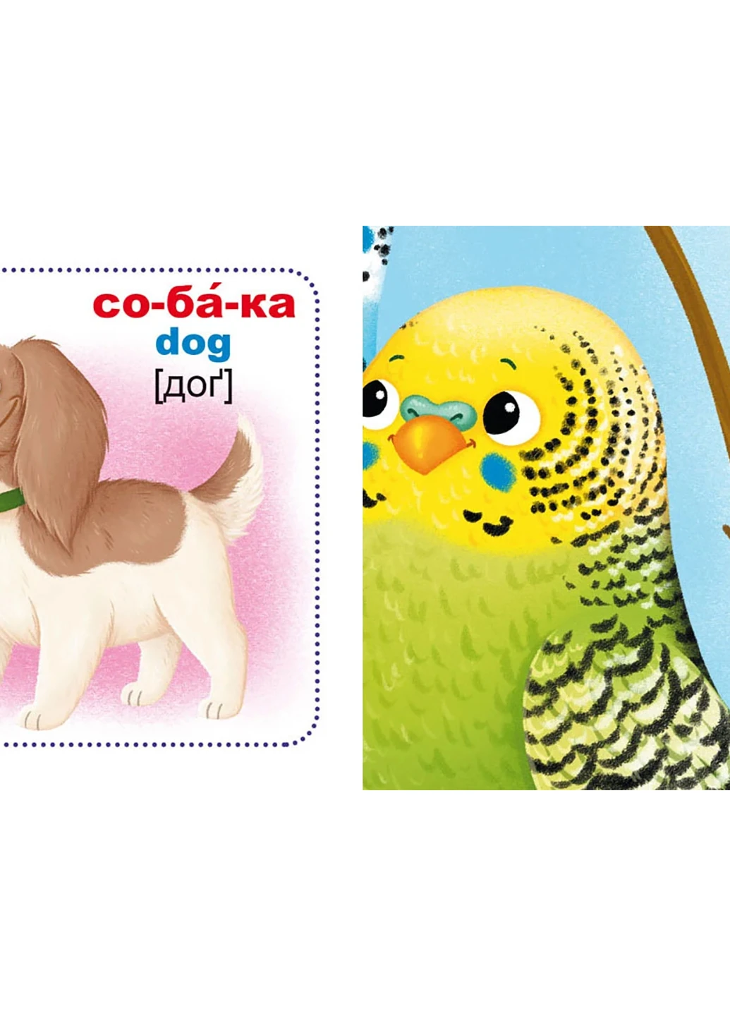 Розумні картки. Свійські тварини. 30 карток 5358 Crystal Book (257077723)