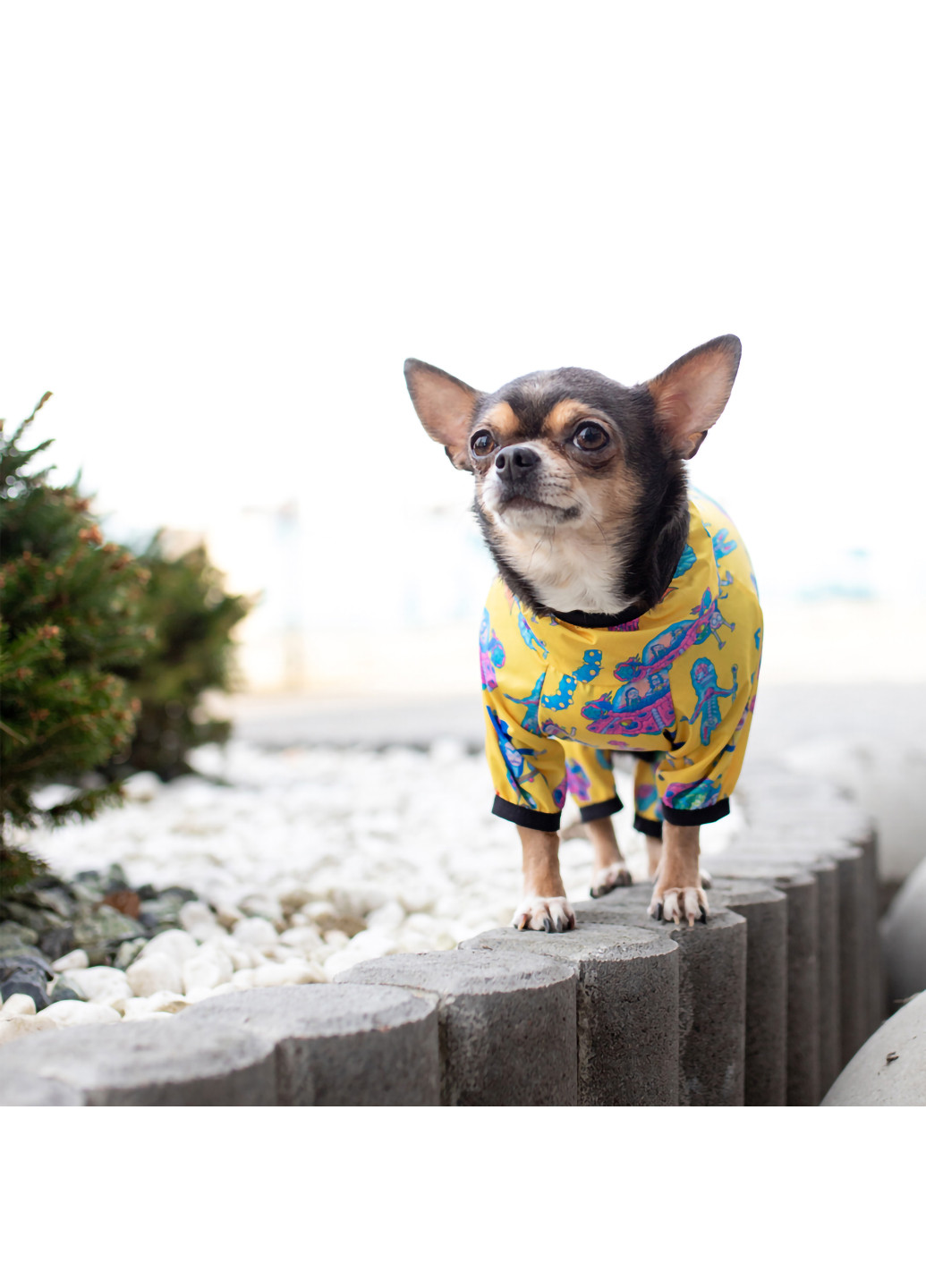 Дождевик для собак рисунок "Рик и Морти 3" XS22 WAUDOG (257086141)