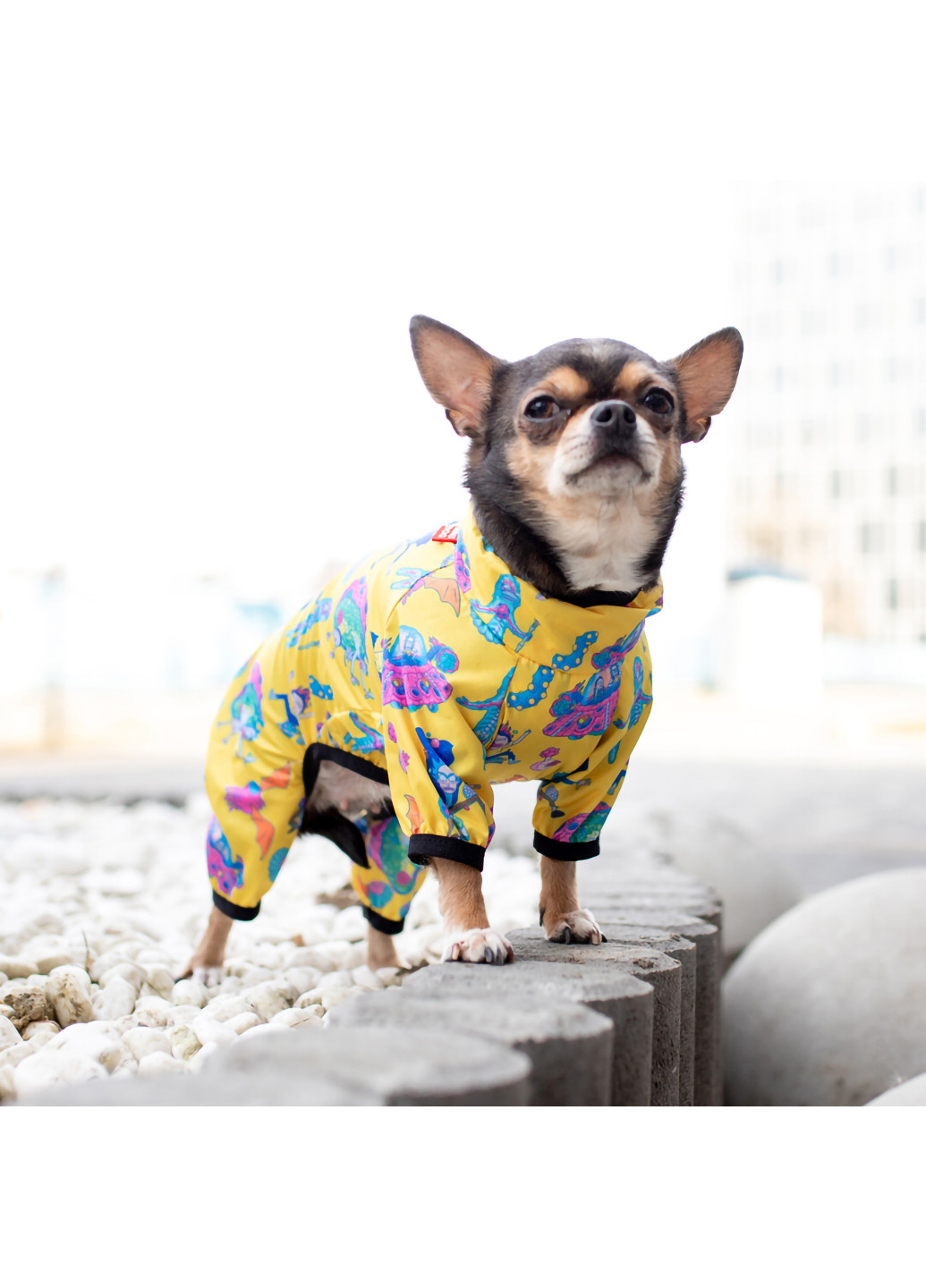 Дождевик для собак рисунок "Рик и Морти 3" XS22 WAUDOG (257086141)