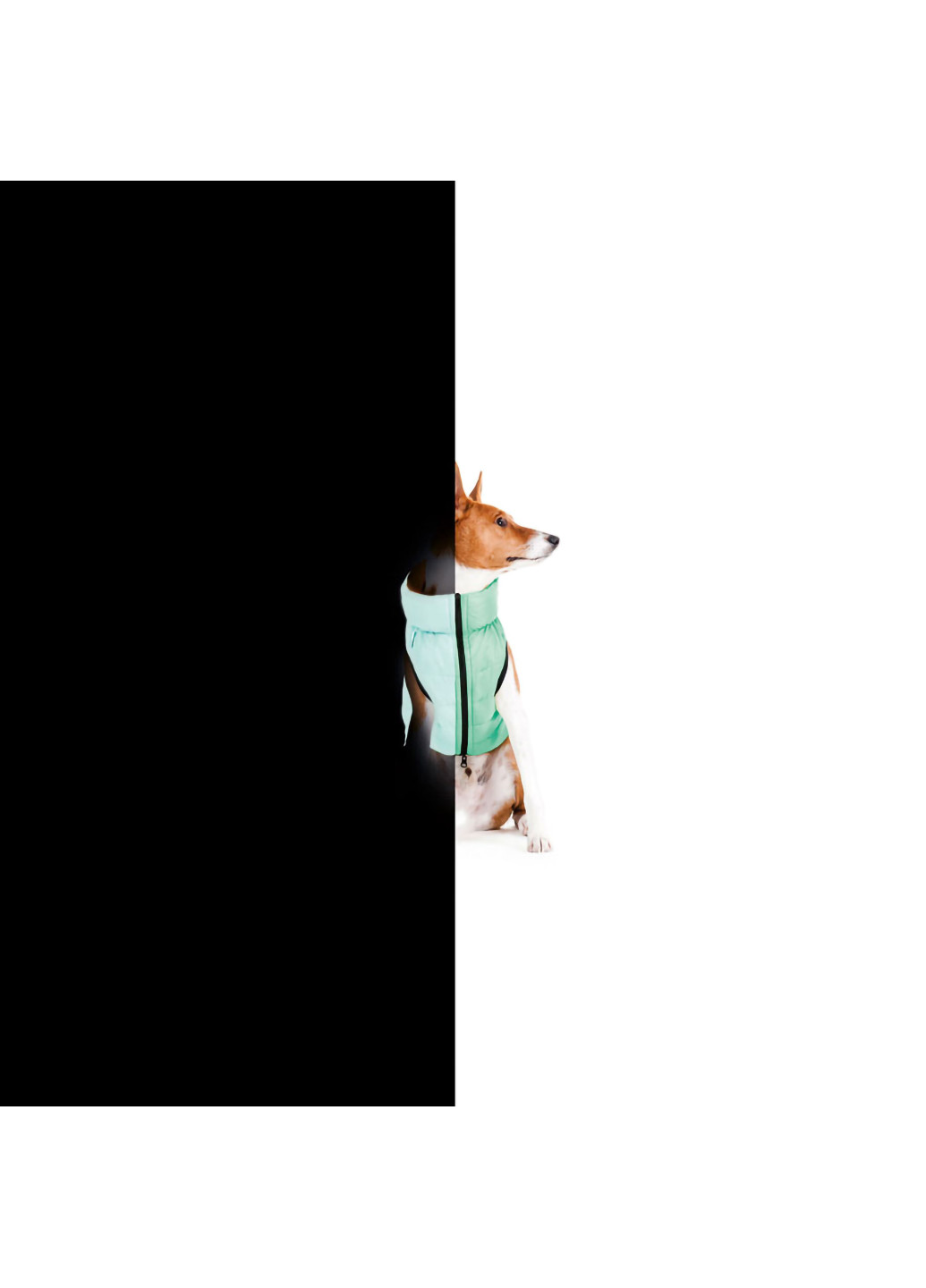Курточка для собак двусторонняя, светящаяся S30 Airy Vest (257085851)