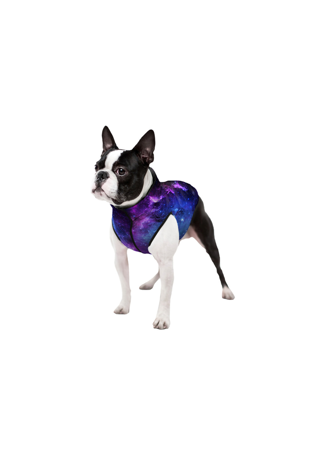 Курточка для собак рисунок "NASA21" XS25 WAUDOG (257083096)