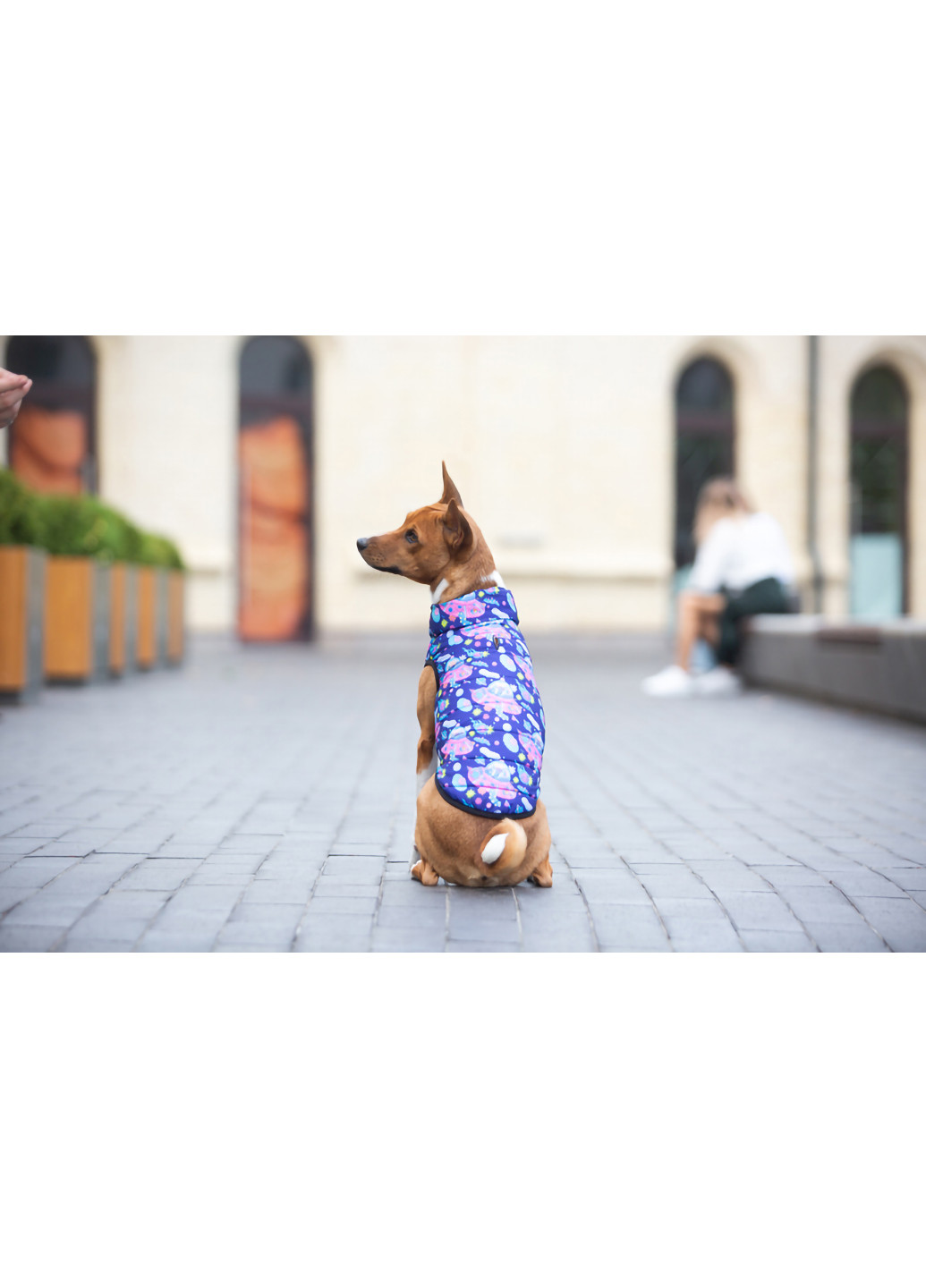 Курточка для собак рисунок "Рик и Морти 1" M50 WAUDOG (257086149)