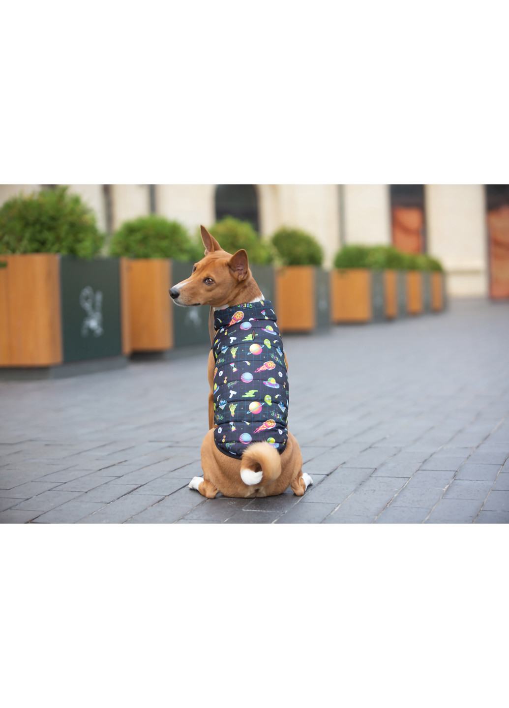 Курточка для собак малюнок "Рік та Морті 2" M47 WAUDOG (257084156)