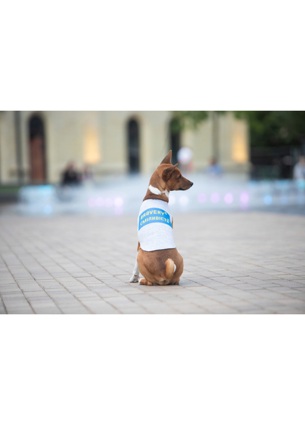 Майка для собак рисунок "Смелость" M47 WAUDOG (257084277)