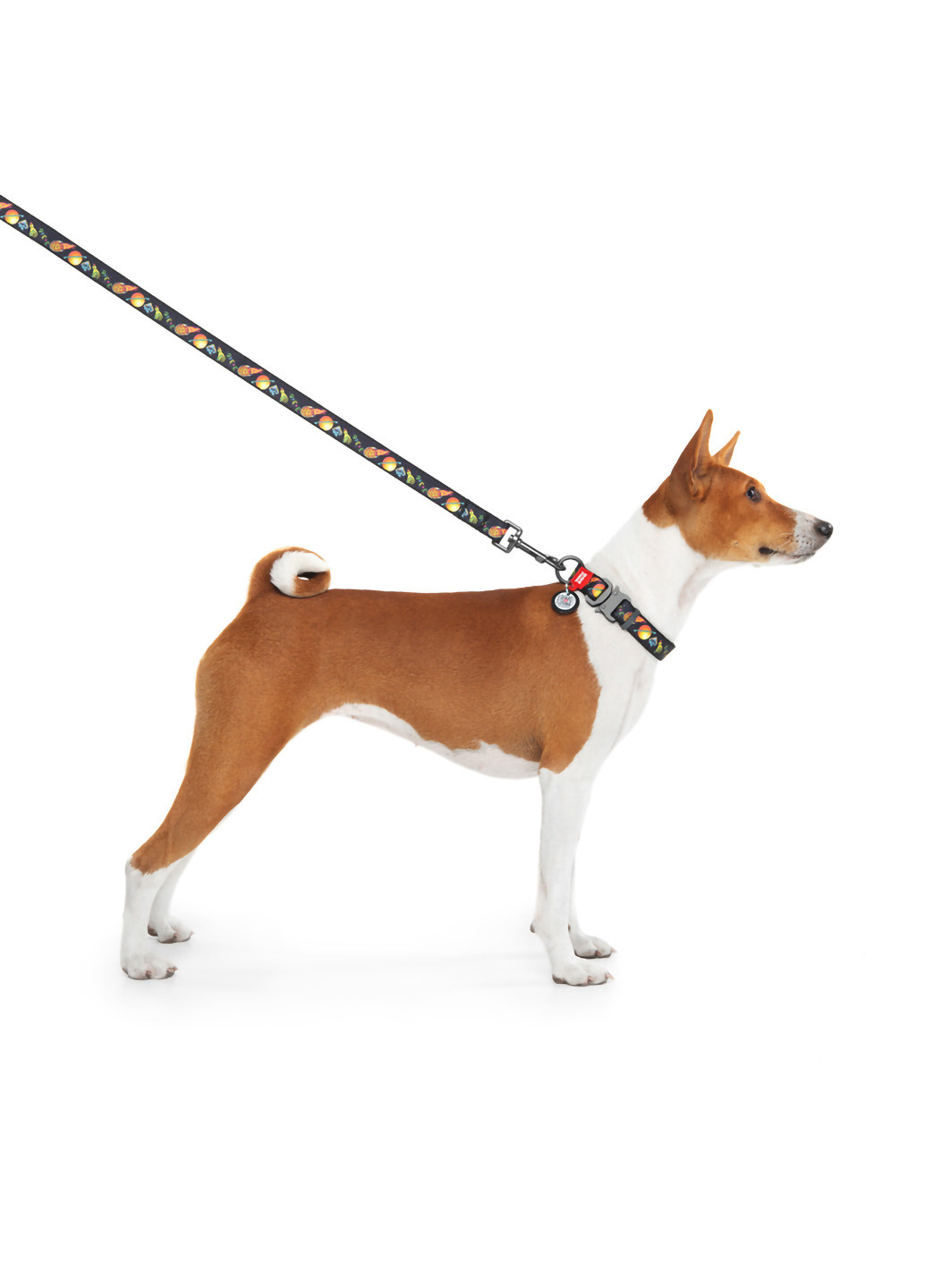 Повідець для собак нейлоновий малюнок "Рік і Морті 3" 122х2 см WAUDOG (257085267)