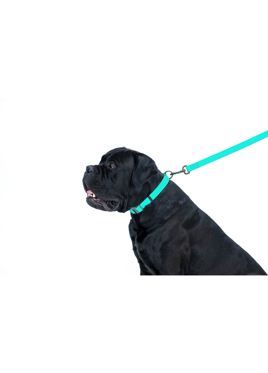 Повідець для собак водостійкий, що світиться 122х1,5 см WAUDOG (257084414)