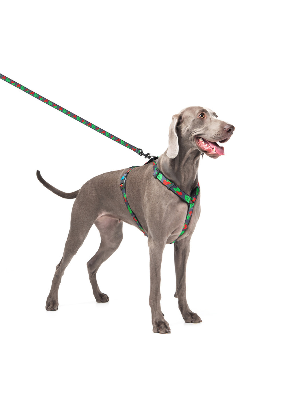 Поводок для собак нейлоновый рисунок "Калина" 122х2,5 см WAUDOG (257085572)