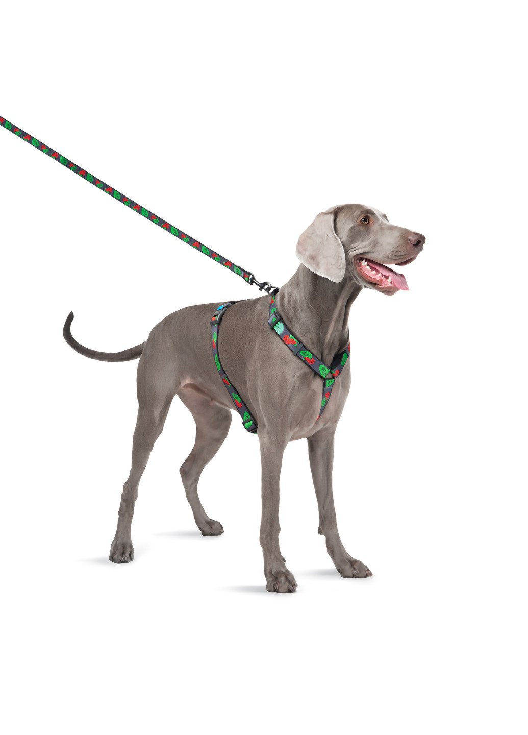 Поводок для собак нейлоновый рисунок "Калина" 122х2,5 см WAUDOG (257085572)