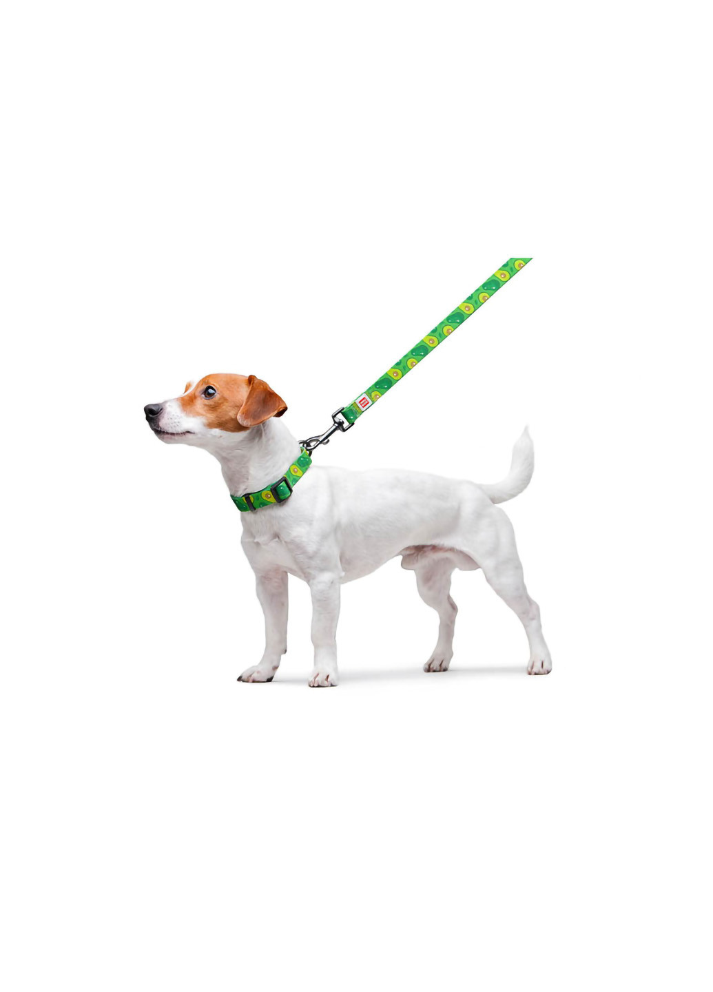 Повідець для собак нейлоновий малюнок "Авокадо" 122х2 см WAUDOG (257084569)