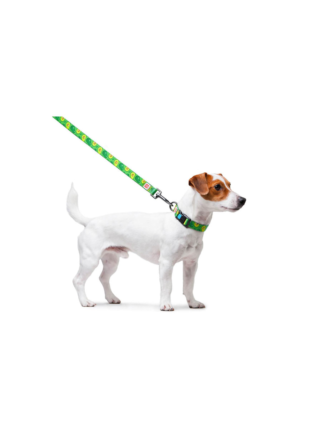 Повідець для собак нейлоновий малюнок "Авокадо" 122х2 см WAUDOG (257084569)