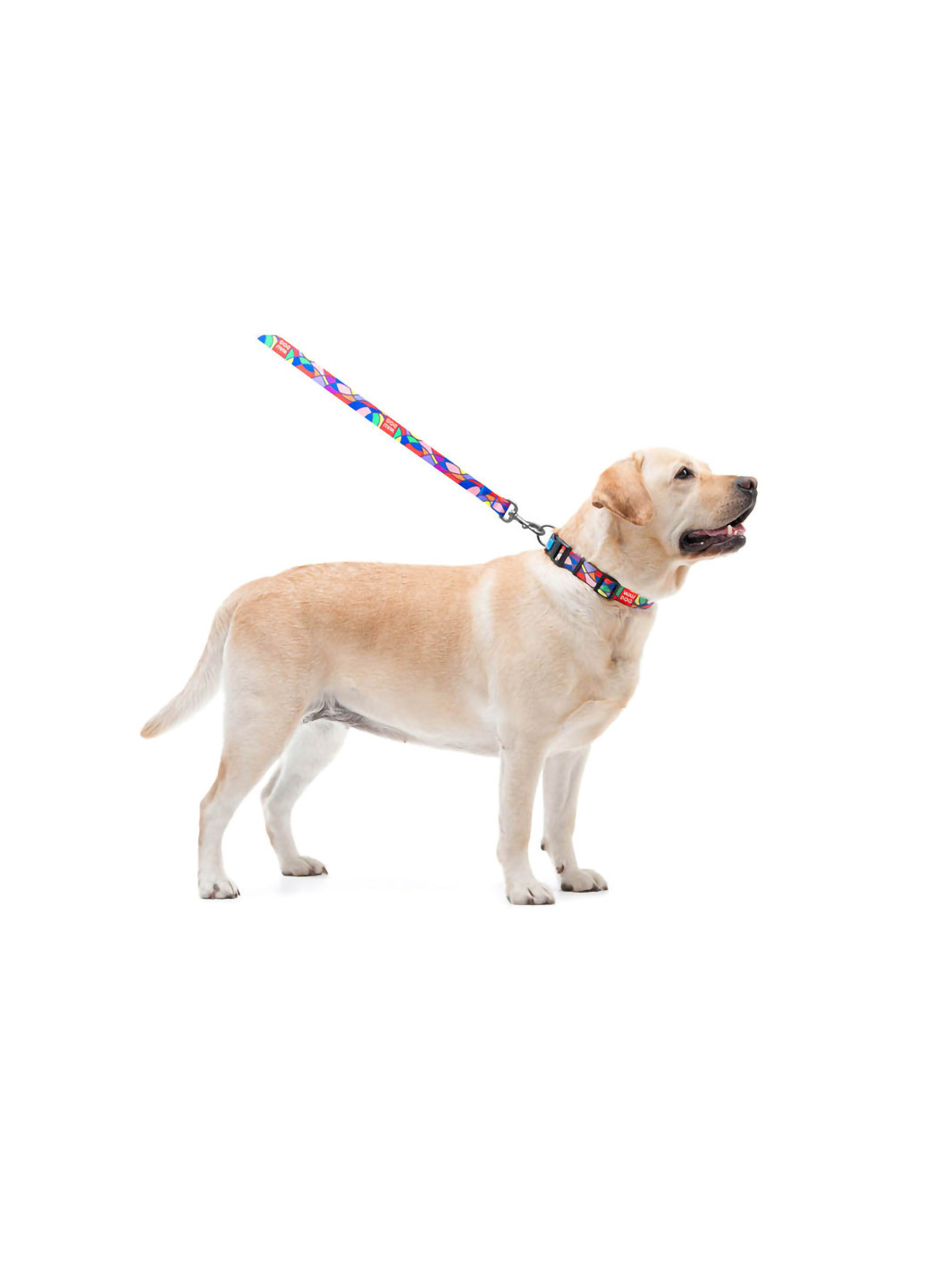 Поводок для собак нейлоновый рисунок "Витраж" 122х2 см WAUDOG (257083562)