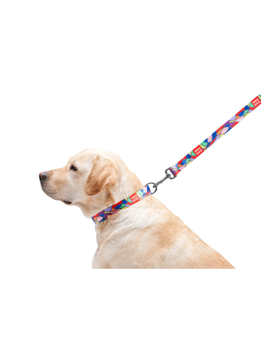 Поводок для собак нейлоновый рисунок "Витраж" 122х2 см WAUDOG (257083562)