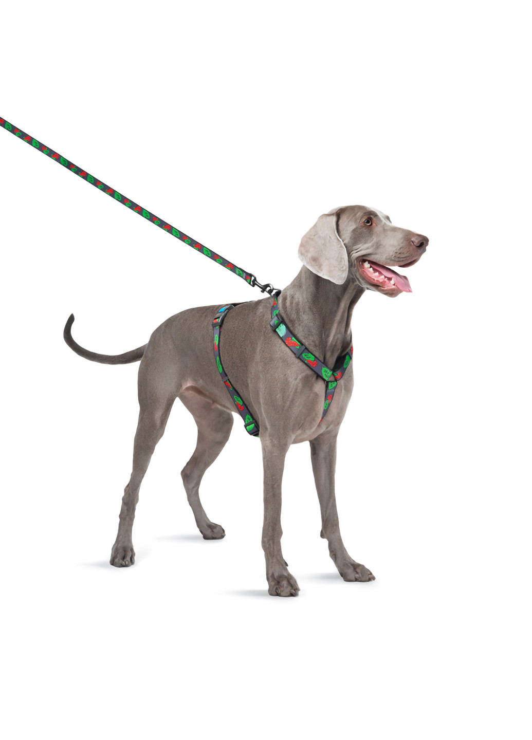 Шлея для собак анатомическая H-образная с QR-паспортом, рисунок "Калина" L WAUDOG (257083108)