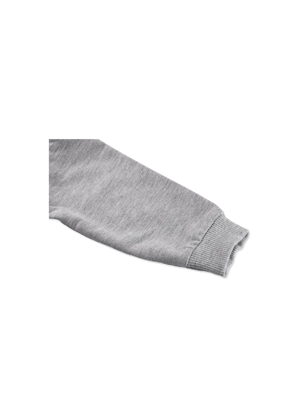Серый демисезонный набор детской одежды с тигриком (7214-92/b-gray) Breeze