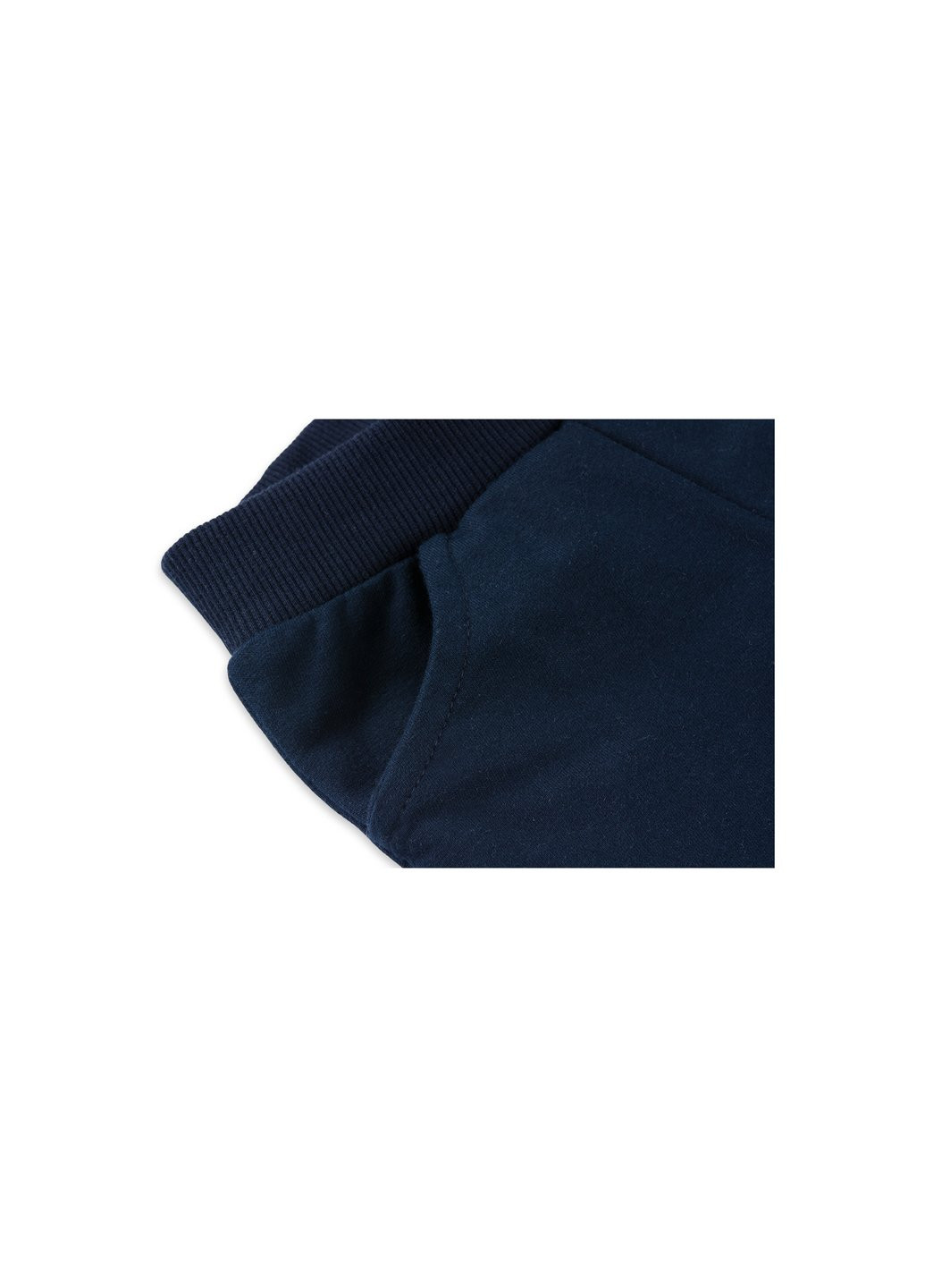 Серый демисезонный набор детской одежды с тигриком (7214-92/b-gray) Breeze