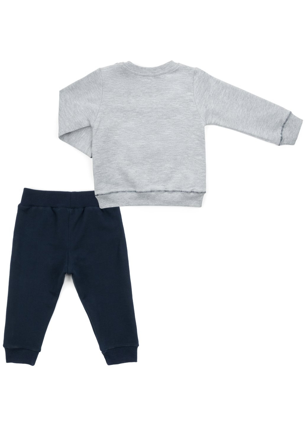 Сірий демісезонний набір дитячого одягу з тигриком (13251-80b-gray) Breeze