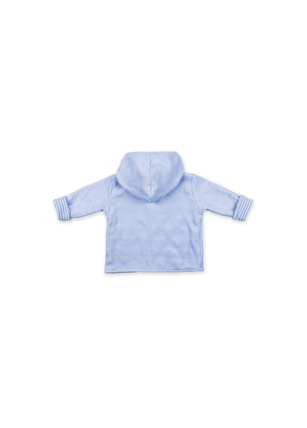 Комбинированный демисезонный набор детской одежды велюровый голубой c капюшоном (ep6206.0-3) Luvena Fortuna