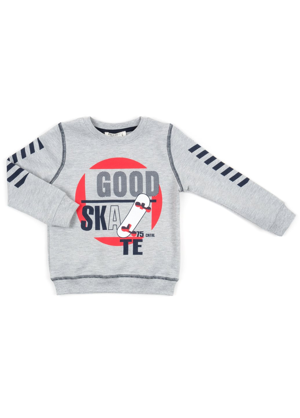 Сірий демісезонний набір дитячого одягу "good skate" (13263-110b-gray) Breeze