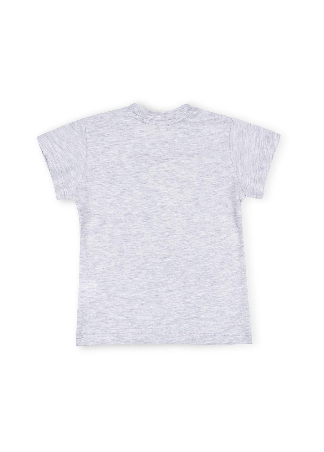 Сірий літній набір дитячого одягу "no problem" (10256-110b-gray) Breeze