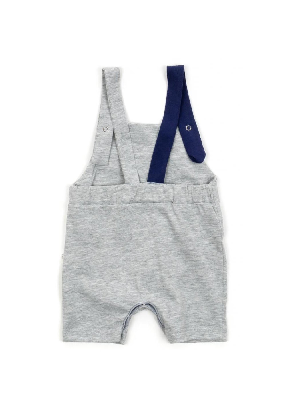 Сірий літній набір дитячого одягу з тигриком (2834-62b-gray) Tongs