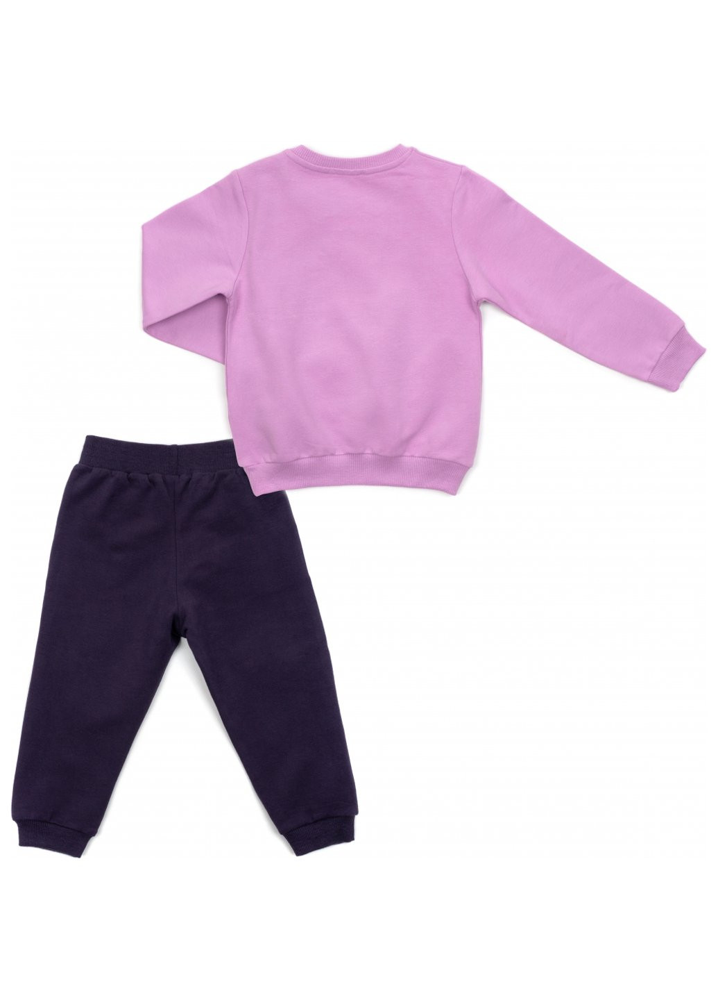 Комбинированный демисезонный набор детской одежды с мишками (16102-98g-purple) Breeze