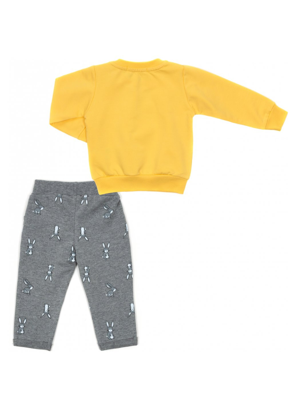 Комбинированный демисезонный набор детской одежды с зайчиком (16672-80g-yellow) Breeze