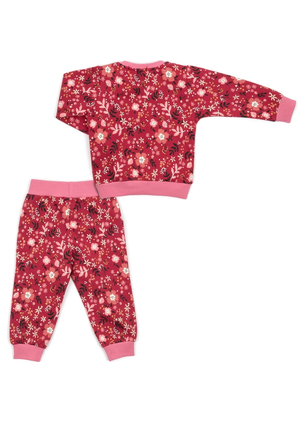 Комбинированный демисезонный набор детской одежды на флисе (17306-80g-red) Breeze