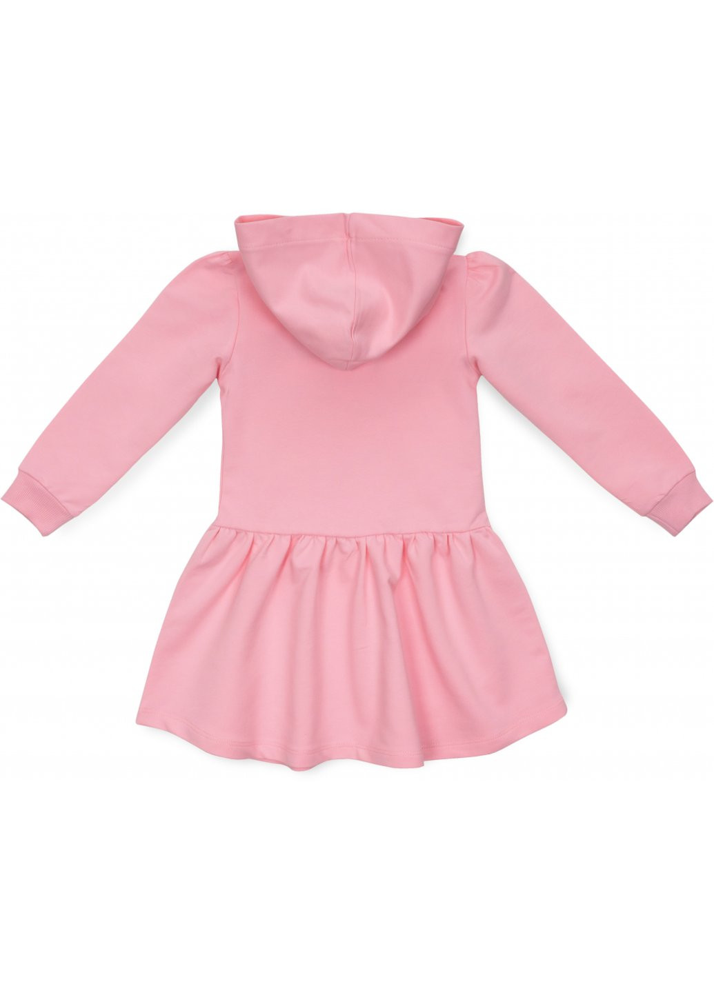 Рожева сукня з капюшоном (6728-116g-pink) Pop Fashion (257142349)