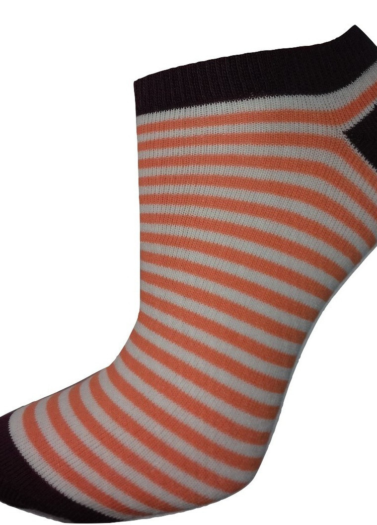 Шкарпетки жіночі ТМ "Нова пара" 102ПВ НОВА ПАРА укорочена висота (257155549)