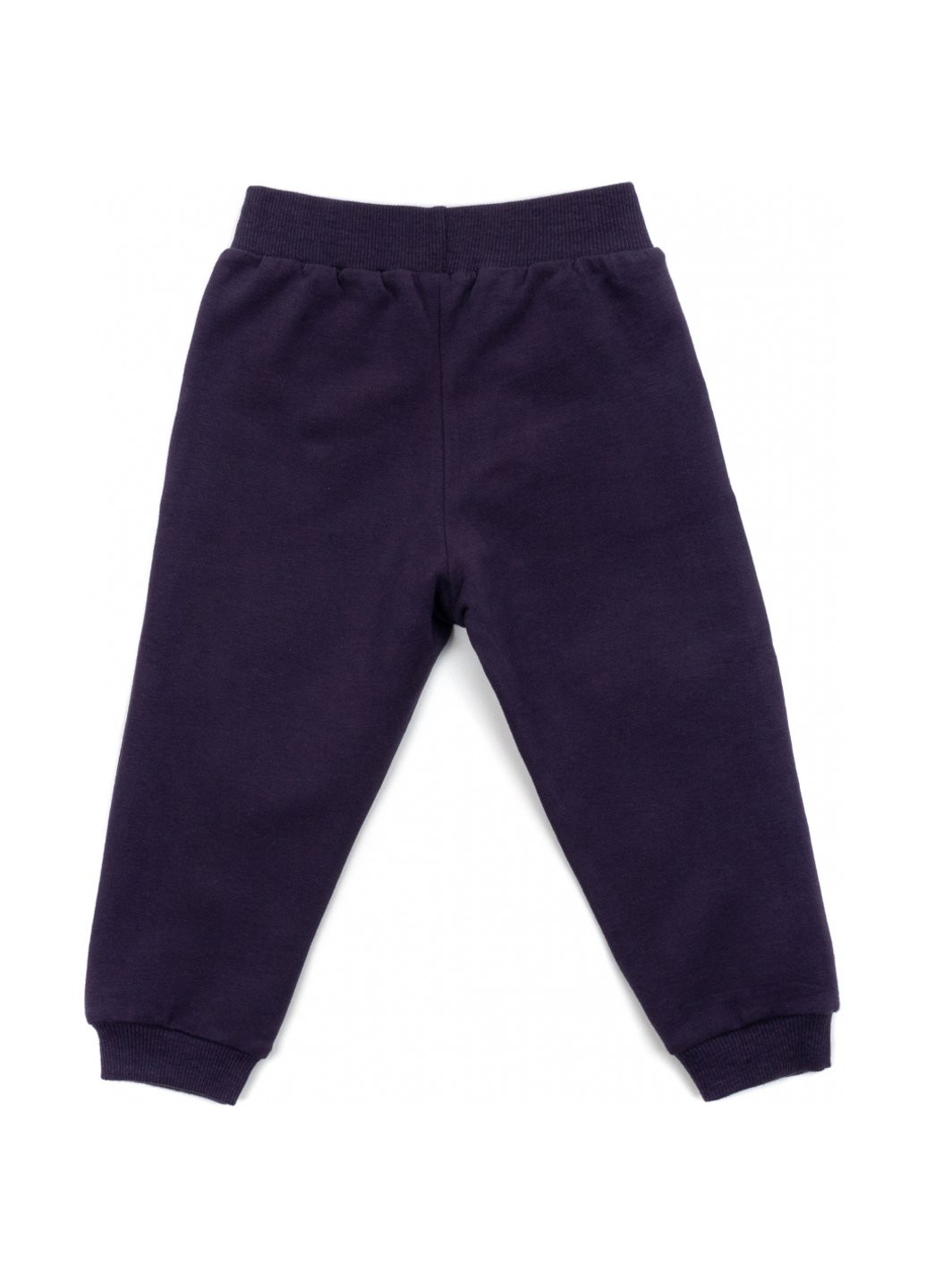 Комбінований демісезонний набір дитячого одягу з ведмедиками (16102-92g-purple) Breeze