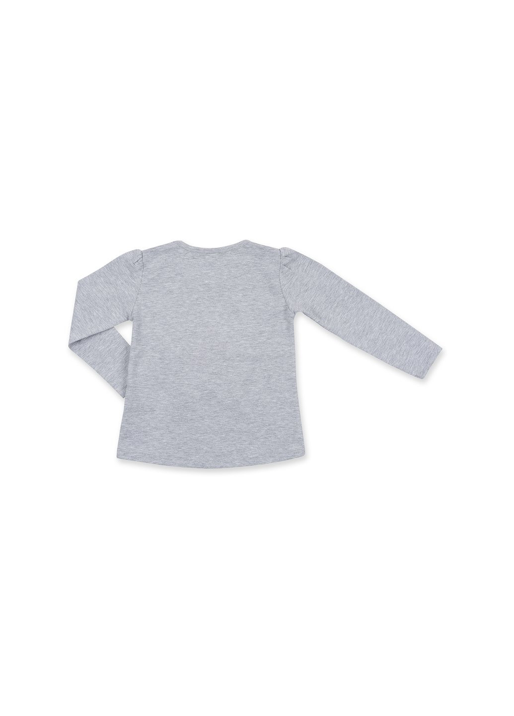 Комбінований демісезонний набір дитячого одягу з об'ємною аплікацією (8401-98g-gray) Breeze
