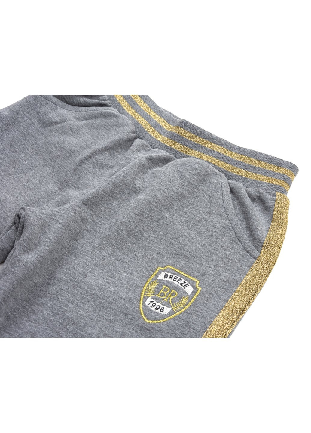 Комбінований демісезонний набір дитячого одягу із золотими лампасами (12986-134g-gray) Breeze