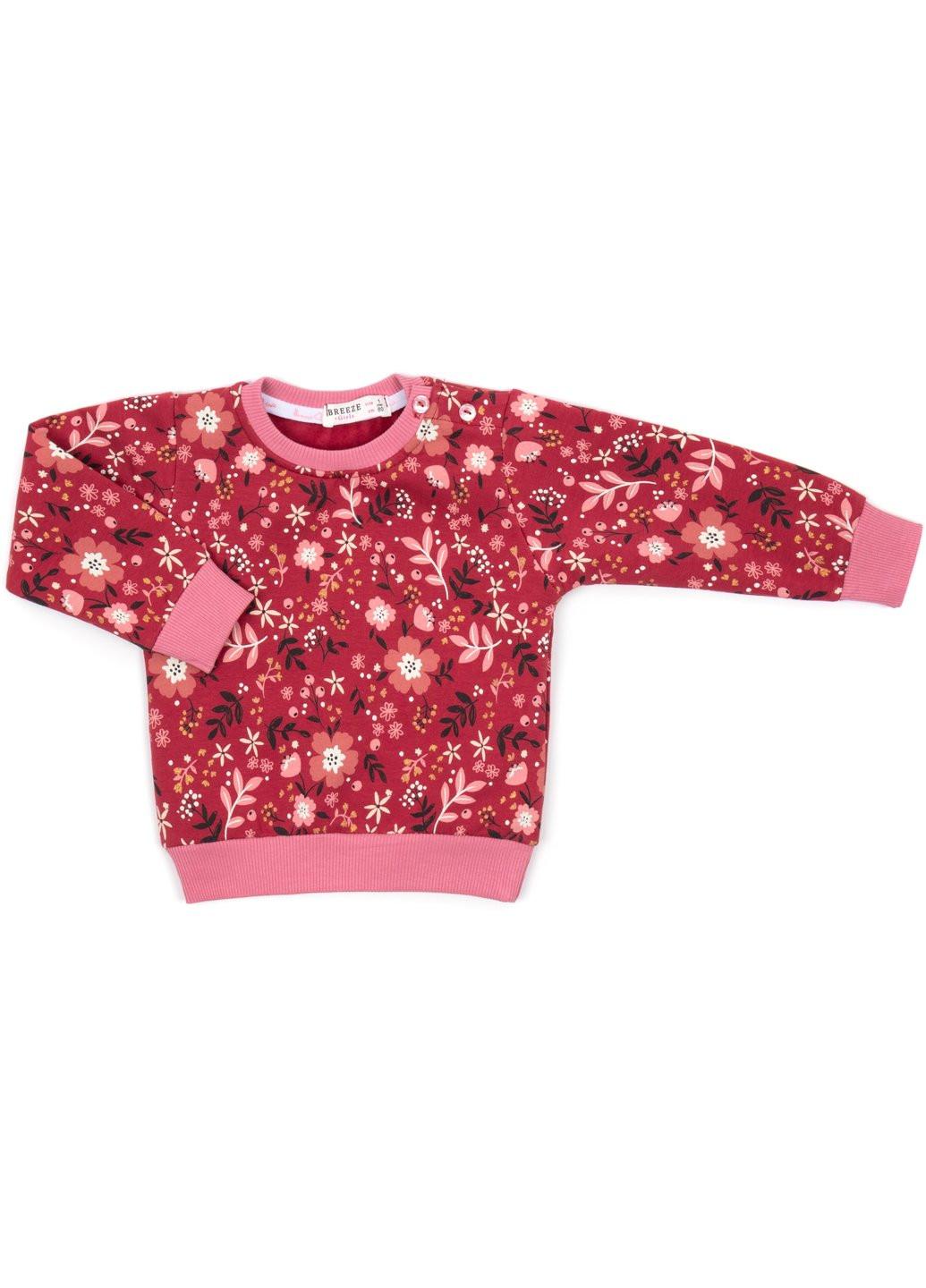 Комбинированный демисезонный набор детской одежды на флисе (17306-86g-red) Breeze