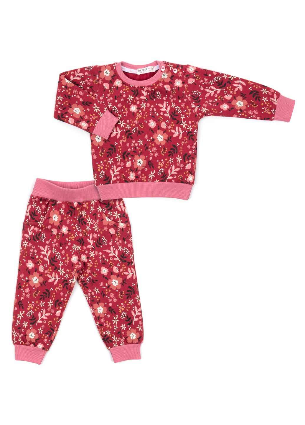 Комбинированный демисезонный набор детской одежды на флисе (17306-86g-red) Breeze