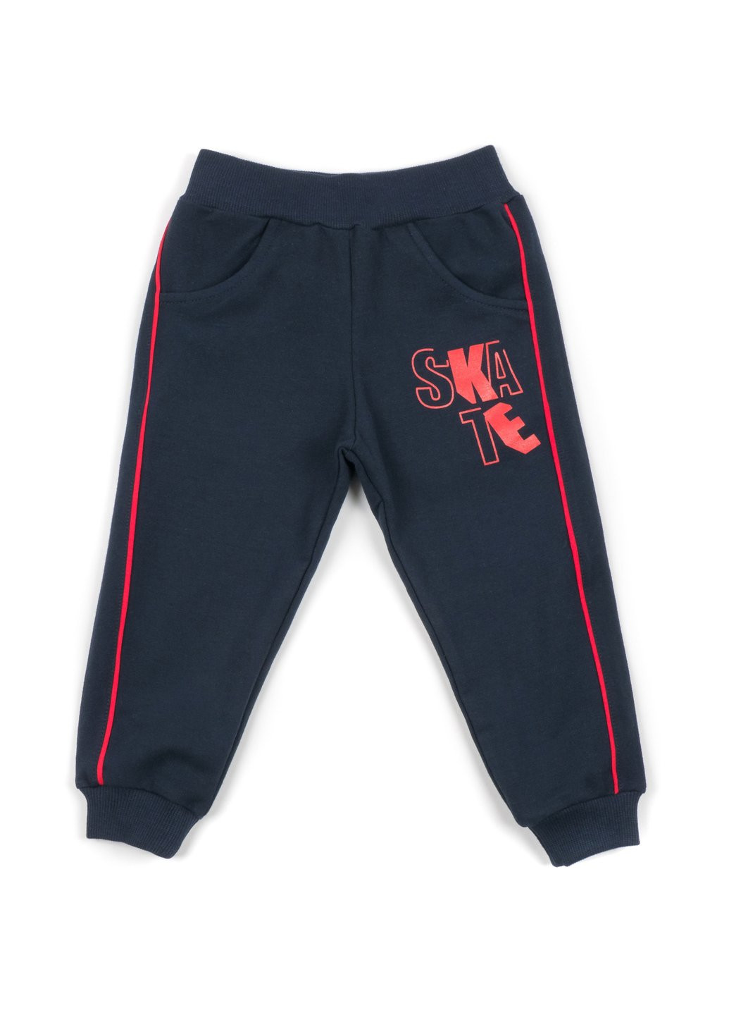 Сірий демісезонний набір дитячого одягу "good skate" (13263-98b-gray) Breeze