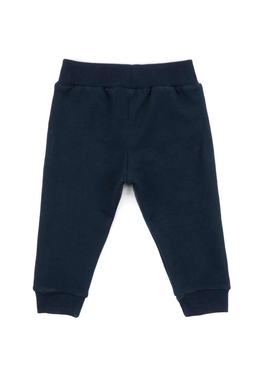 Сірий демісезонний набір дитячого одягу з тигриком (13251-80b-gray) Breeze