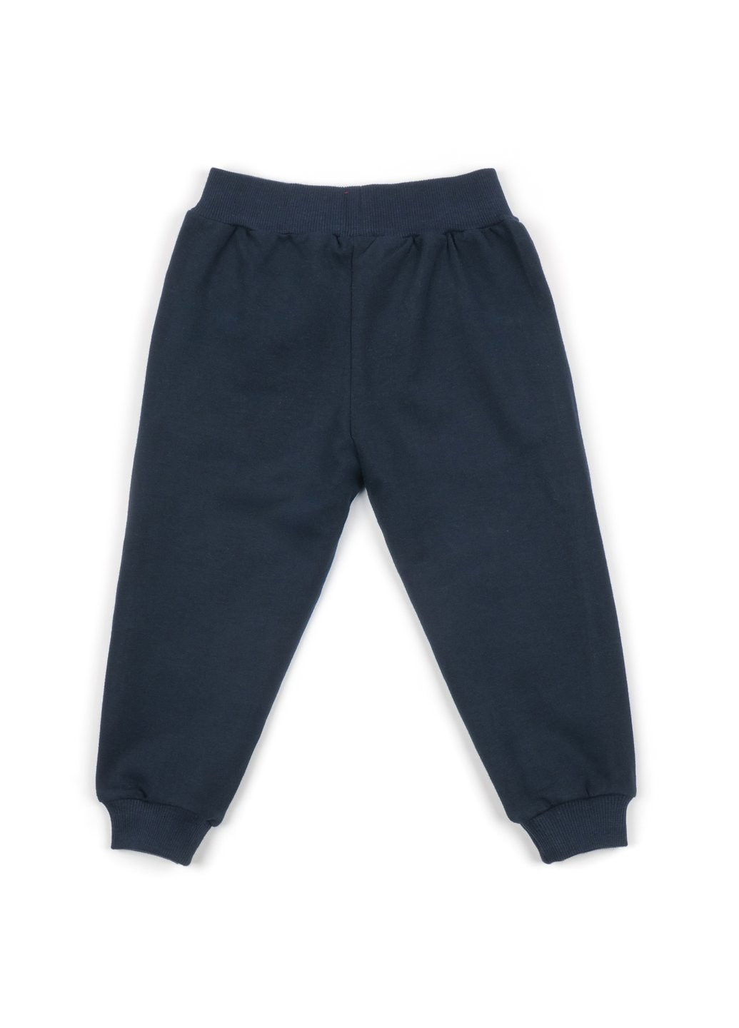 Сірий демісезонний набір дитячого одягу "good skate" (13263-116b-gray) Breeze