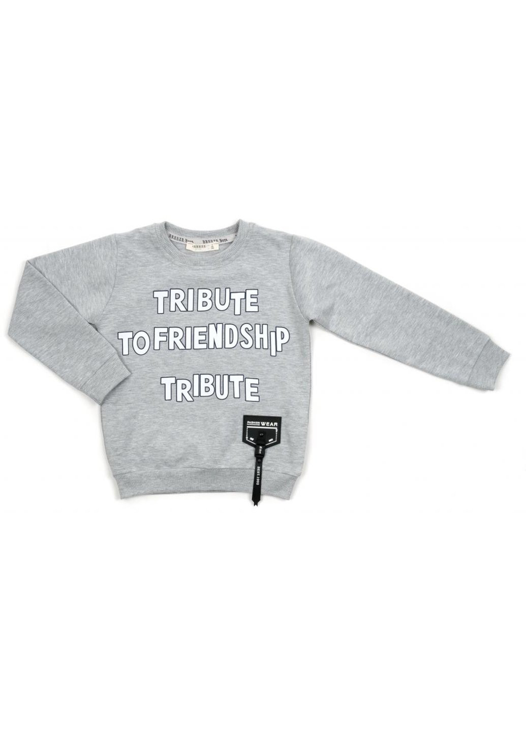 Сірий демісезонний набір дитячого одягу "friendship" (14775-110b-gray) Breeze