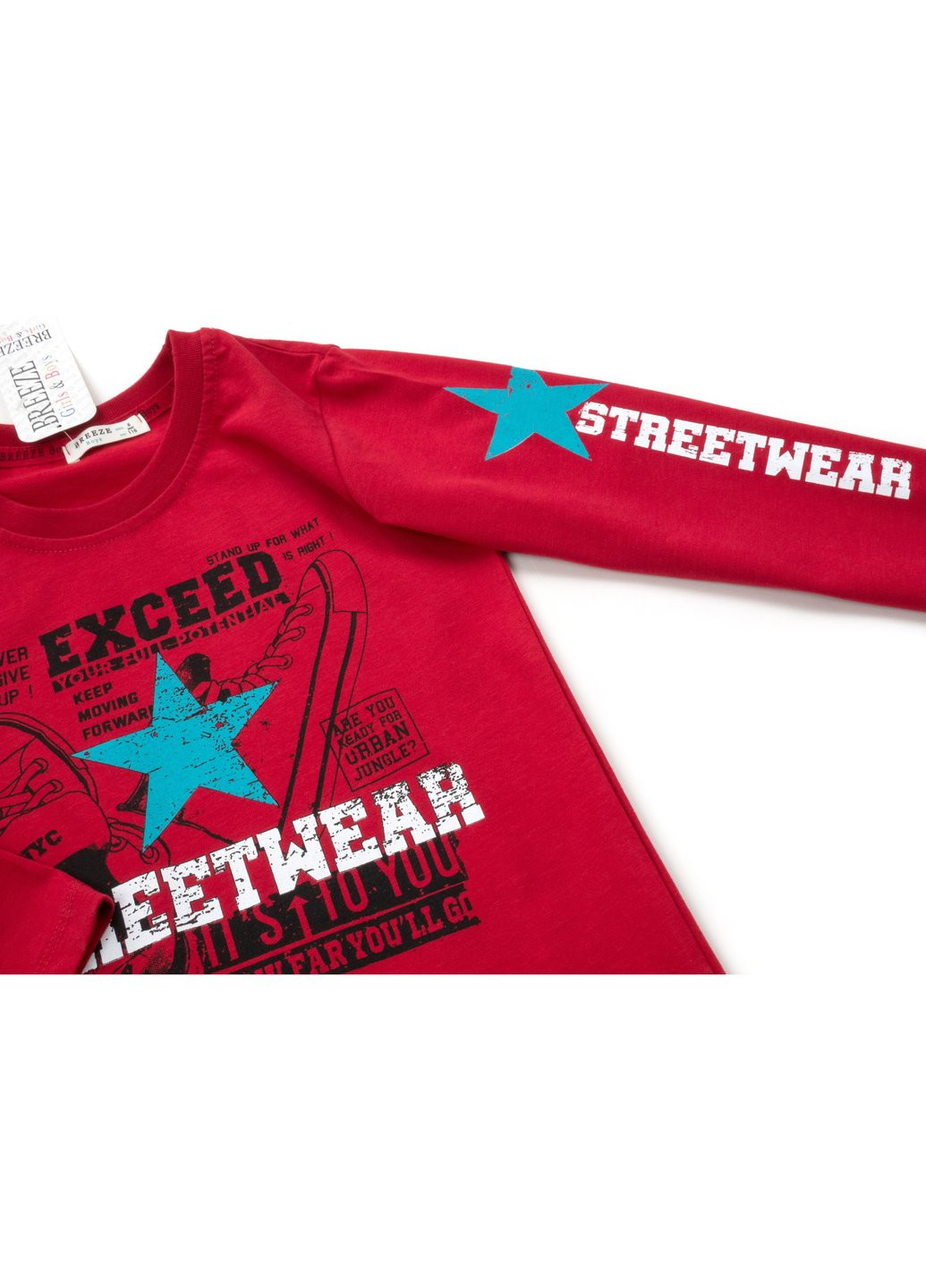 Кофта "STREETWEAR" (13822-128B-red) Breeze (257204482)