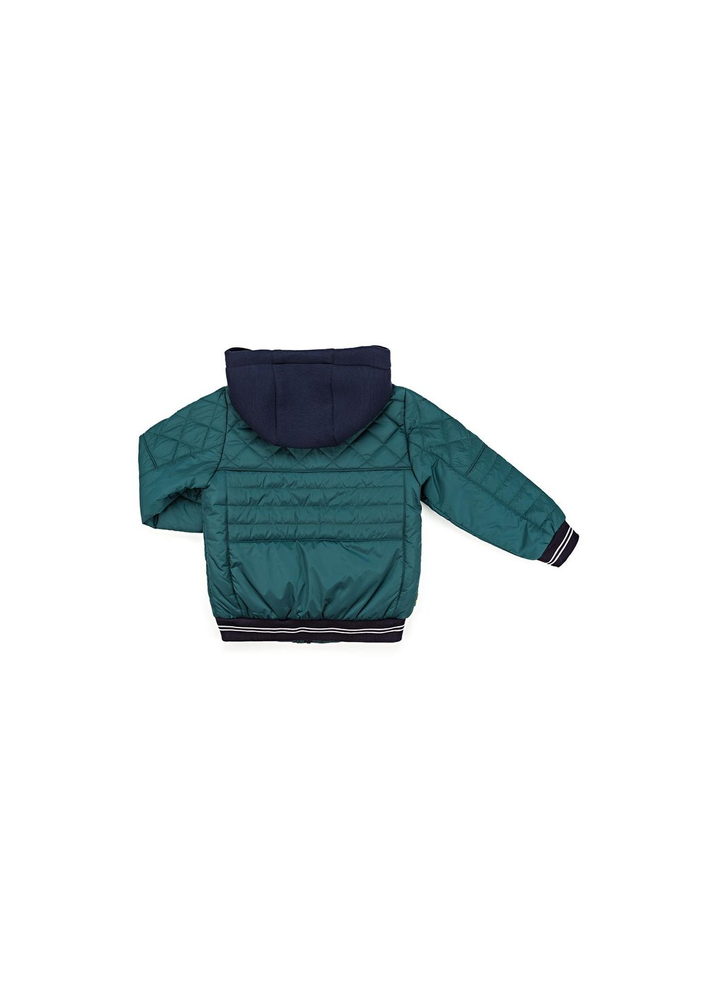 Зелена демісезонна куртка з капюшоном на манжетах (sicmy-g308-128b-green) Snowimage