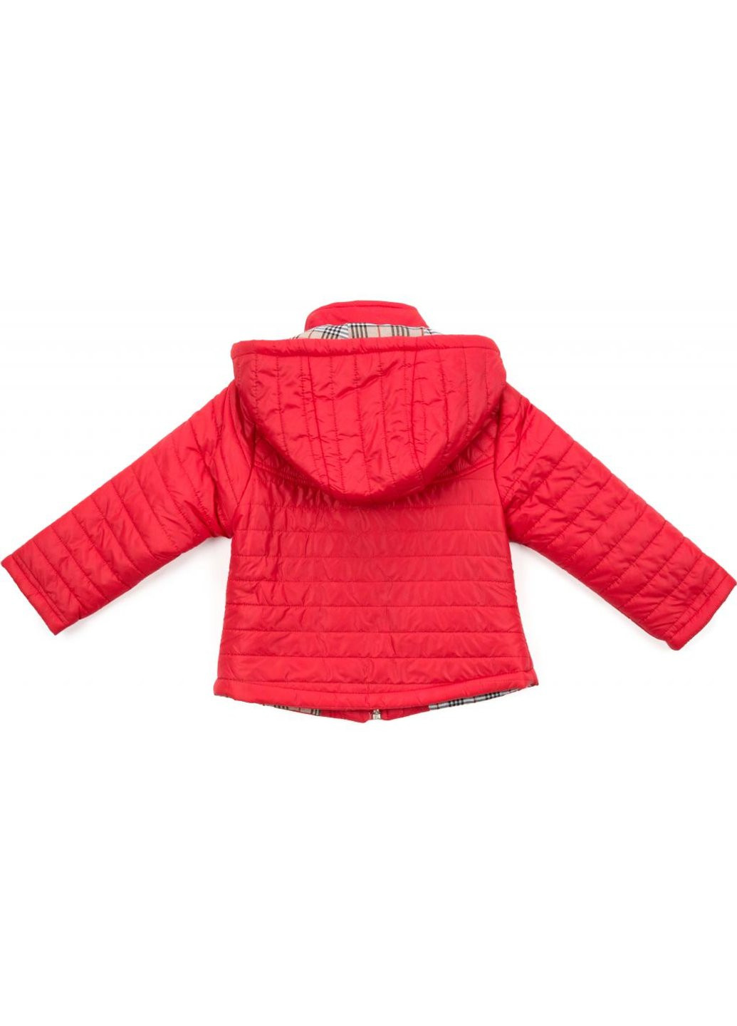 Червона демісезонна куртка стьобана (3174-98g-red) Verscon