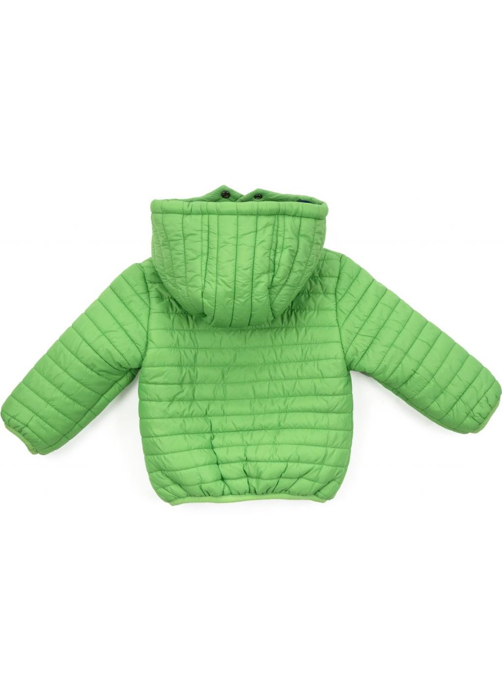 Зеленая демисезонная куртка стеганая (3379-110-green) Verscon