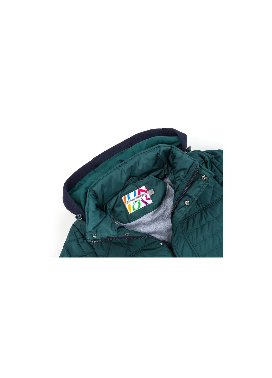 Зеленая демисезонная куртка с капюшоном на манжетах (sicmy-g308-110b-green) Snowimage
