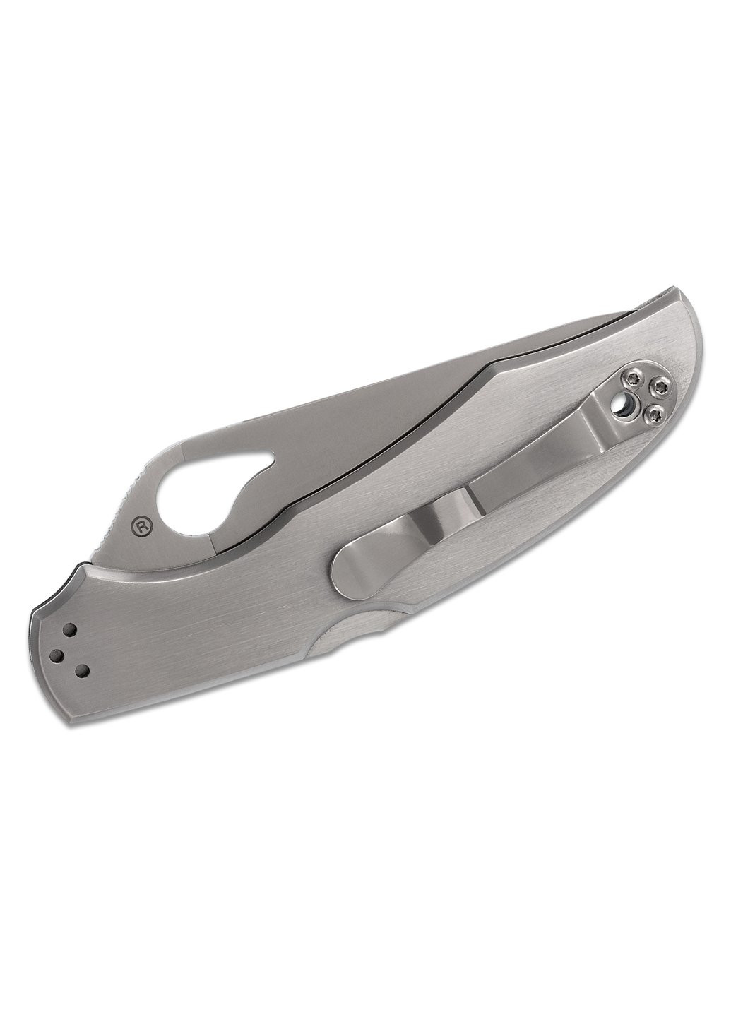 Ніж Byrd Cara Cara 2 Steel Handle (BY03P2) Spyderco (257225168)