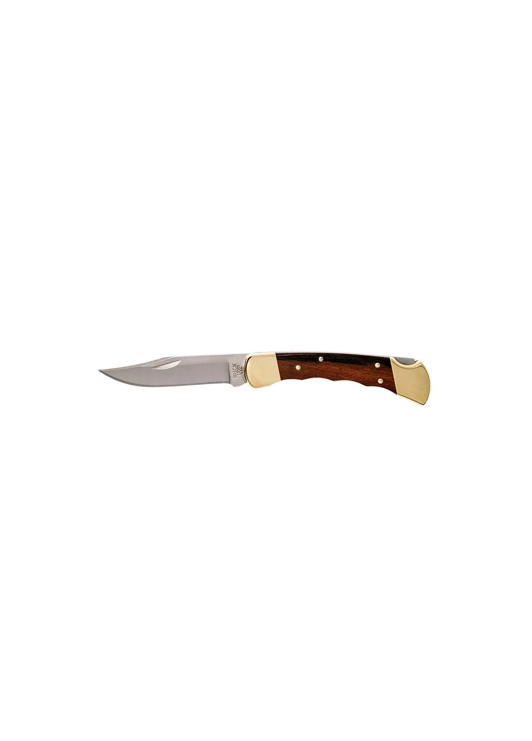 Ніж "110 Folding Hunter" (110BRSFGB) Buck (257223718)